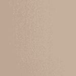 painted-rich-praline swatch